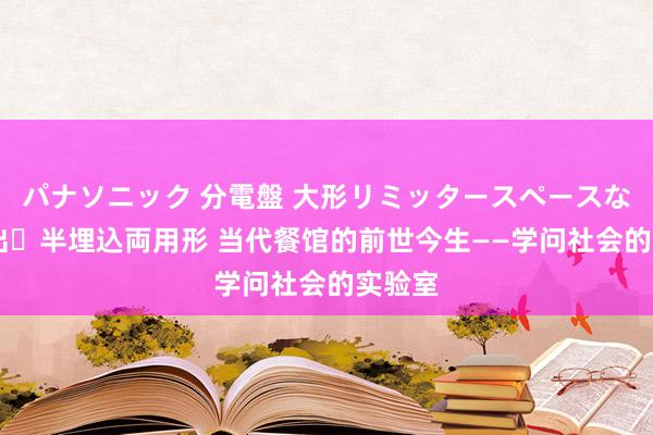 パナソニック 分電盤 大形リミッタースペースなし 露出・半埋込両用形 当代餐馆的前世今生——学问社会的实验室