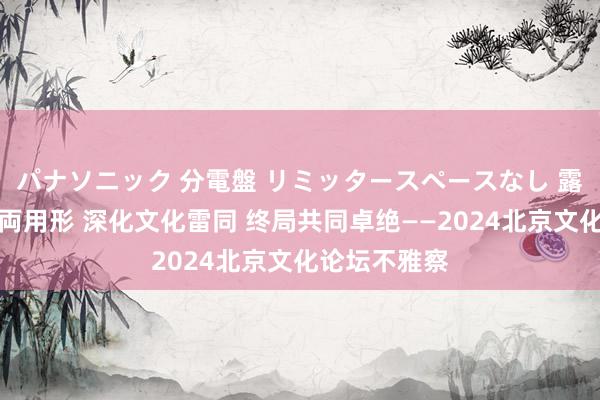 パナソニック 分電盤 リミッタースペースなし 露出・半埋込両用形 深化文化雷同 终局共同卓绝——2024北京文化论坛不雅察