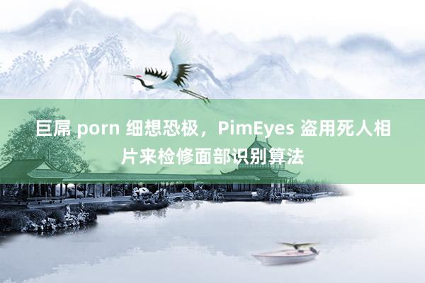 巨屌 porn 细想恐极，PimEyes 盗用死人相片来检修面部识别算法