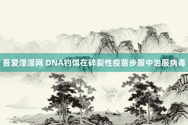 吾爱淫淫网 DNA钓饵在碎裂性疫苗步履中治服病毒