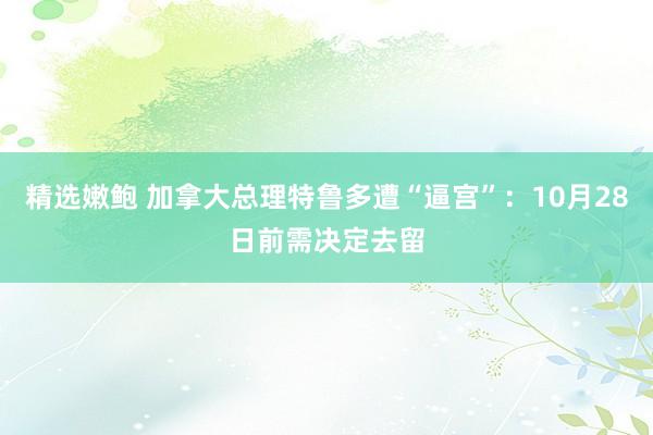 精选嫩鲍 加拿大总理特鲁多遭“逼宫”：10月28日前需决定去留