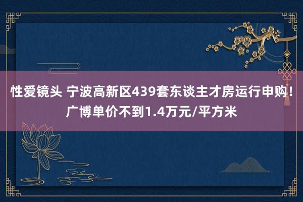 性爱镜头 宁波高新区439套东谈主才房运行申购！广博单价不到1.4万元/平方米