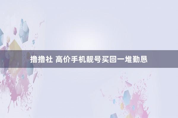 撸撸社 高价手机靓号买回一堆勤恳