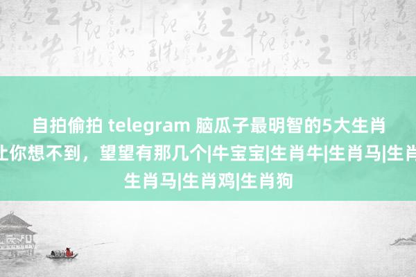 自拍偷拍 telegram 脑瓜子最明智的5大生肖，第别称让你想不到，望望有那几个|牛宝宝|生肖牛|生肖马|生肖鸡|生肖狗