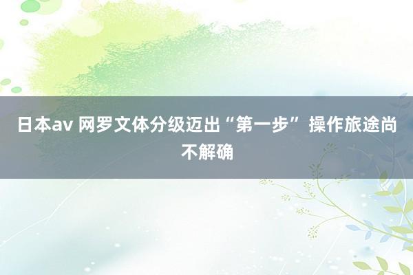 日本av 网罗文体分级迈出“第一步” 操作旅途尚不解确