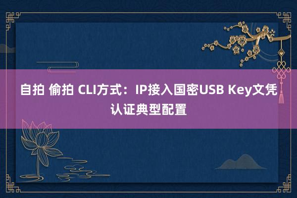 自拍 偷拍 CLI方式：IP接入国密USB Key文凭认证典型配置