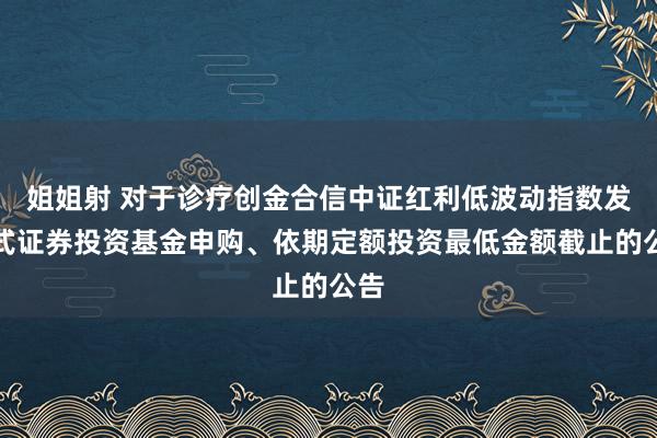 姐姐射 对于诊疗创金合信中证红利低波动指数发起式证券投资基金申购、依期定额投资最低金额截止的公告