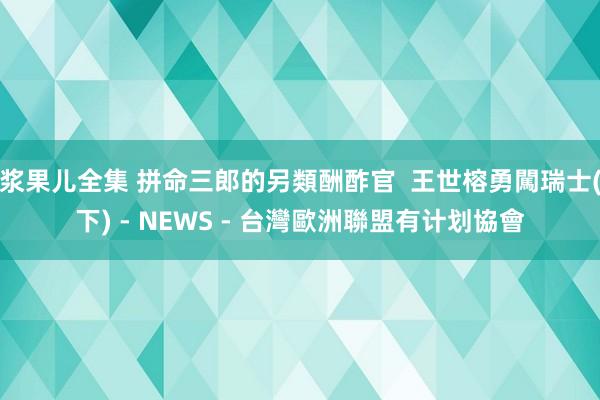 浆果儿全集 拼命三郎的另類酬酢官  王世榕勇闖瑞士(下) - NEWS - 台灣歐洲聯盟有计划協會