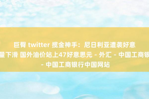 巨臀 twitter 揽金神手：尼日利亚遭袭好意思国原油产量下滑 国外油价站上47好意思元－外汇－中国工商银行中国网站