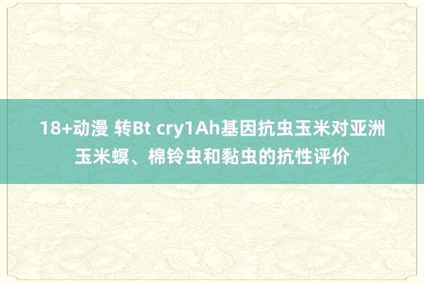 18+动漫 转Bt cry1Ah基因抗虫玉米对亚洲玉米螟、棉铃虫和黏虫的抗性评价